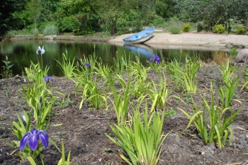 ARBORETUM Neuenkoop