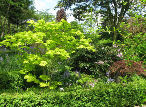 ARBORETUM Neuenkoop