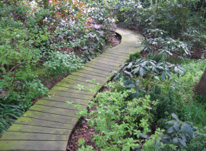 ARBORETUM Neuenkoop