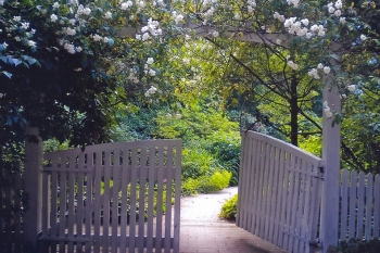 Bauerngarten "Die Uchte"