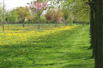 Baumpark Thedinghausen