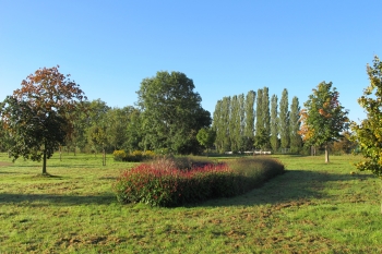 Baumpark Thedinghausen