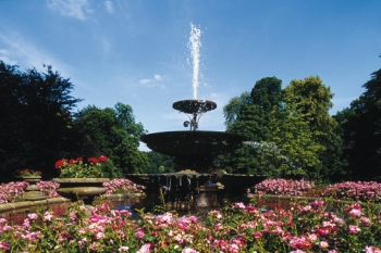 Bürgerpark