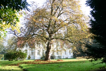 Donnerhorster Gutspark