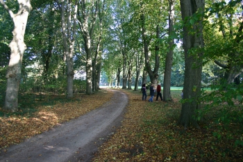 Donnerhorster Gutspark