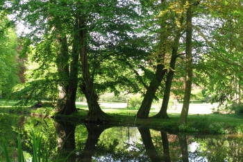 Englischer Landschaftspark von Witzleben