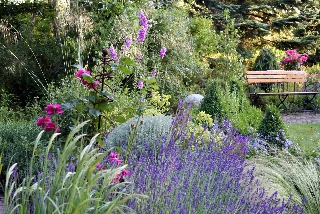 Garten im Mühlenbachtal