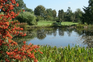 Garten im Mühlenbachtal