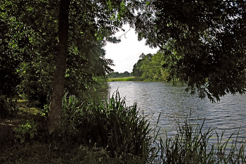 Gartenidylle am Eisseler See