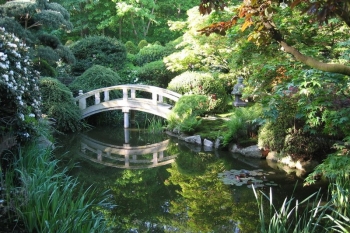 Japanischer Garten Vechta
