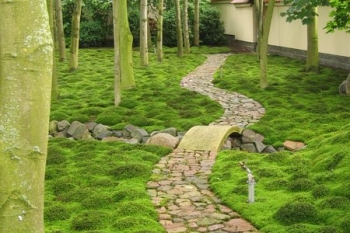 Japanischer Garten Vechta