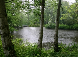Kurpark Wilhelmshaven