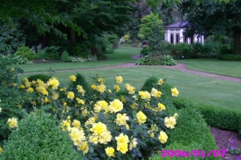 Paradiesgarten Osterloh
