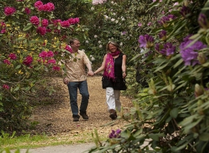 Rhododendronpark Hobbie