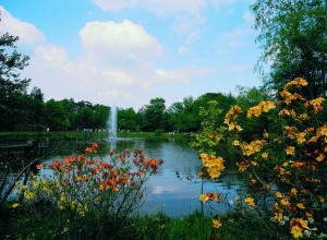 Rhododendronpark Hobbie