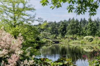 Rhododendronpark Wiefelstede