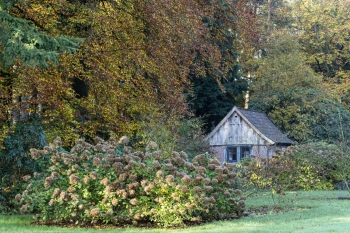 Rhododendronpark Wiefelstede