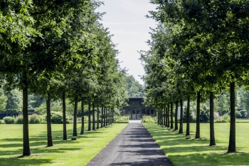 Rhododendronpark Wiefelstede