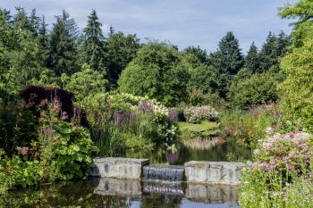 Rhododendronpark Wiefelstede