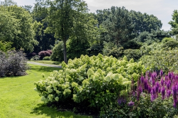 Rhododendronpark Wiefelstede