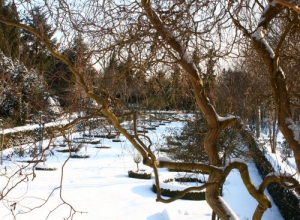 Rosarium Wilhelmshaven