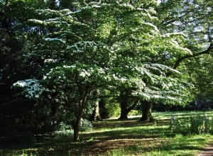 Schlossgarten Oldenburg