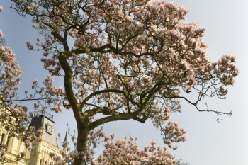 Schlosspark Evenburg