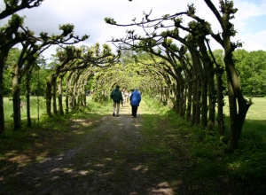 Schlosspark Gödens