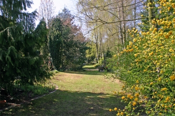 Waldrandgarten