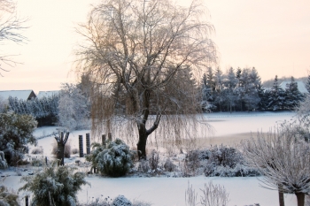 Wassergarten Meinhard