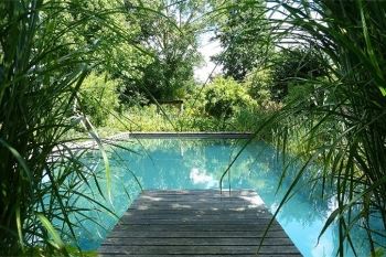 Wassergarten Meinhard