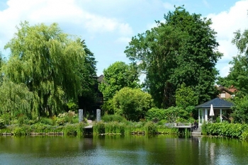 Wassergarten Meinhard