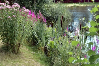 Wassergarten Meinhard