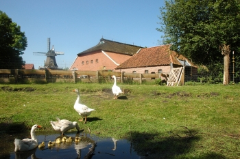 Woldenhof Wiegboldsbur